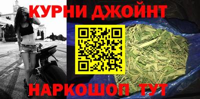 индика Обь