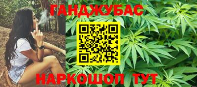 спиды Новодвинск