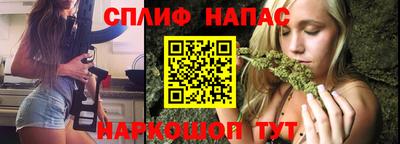 спиды Новодвинск