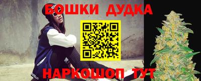 спиды Новодвинск