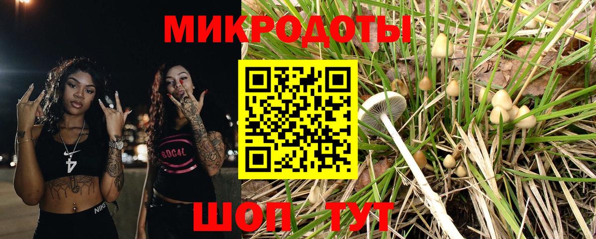 Псилоцибиновые грибы мицелий  Вход с VPN  Псилоцибиновые грибы Psilocybine cubensis  Рязань 
