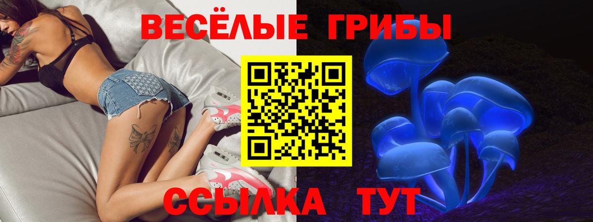 Псилоцибиновые грибы ЛСД Рязань
